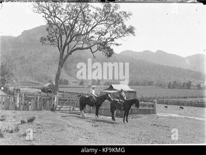 8917 Deux femme à cheval avec des porcs chevaux et bétail Banque D'Images