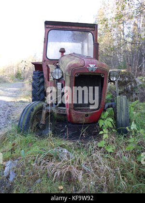 Vieux tracteur agricole Massey Ferguson Banque D'Images