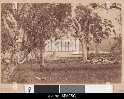 Réservoir d'Harcourt. Mount Alexander 78 Miles N.N.W. de Melbourne Banque D'Images