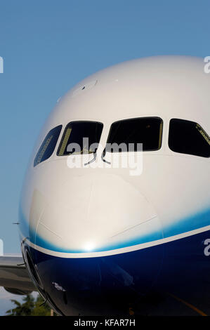 Pare-brise de la le premier Boeing 787-8 Dreamliner à la présentation Banque D'Images