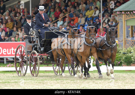 Michael Freund (GER), Jeux équestres mondiaux, Aix-la-Chapelle, 30 août 2006, dressage de conduite Banque D'Images