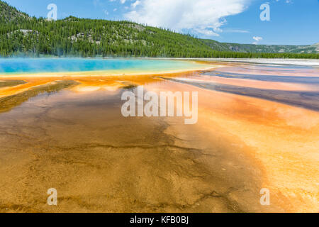 Les tapis microbiens ventilateur hors du centre du Grand Prismatic Spring dans le parc national de Yellowstone, Wyoming Banque D'Images