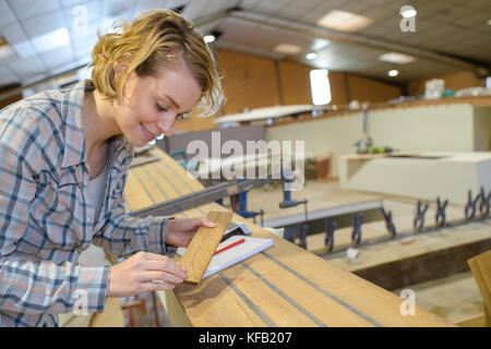 Female Carpenter à l'aide de ponceuse sur bois en atelier Banque D'Images