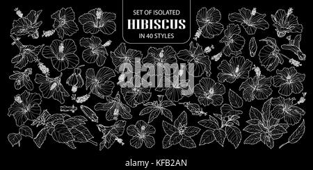 Ensemble d'hibiscus isolés dans 40 styles. cute hand drawn vector illustration fleur contour blanc sur fond noir. Illustration de Vecteur