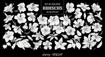 Ensemble de silhouette blanche isolée hibiscus dans 40 .styles mignon hand drawn vector illustration fleurs en avion blanc et sans contour sur fond noir. Illustration de Vecteur