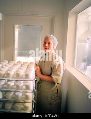 USA, Californie, Petaluma, Cheesemaker met un rack de fromage de lait de Goat dans la salle de séchage d'Andante Dairy Banque D'Images