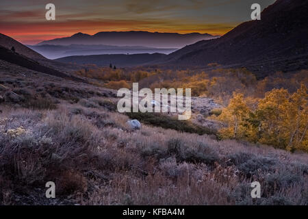 Couleurs d'automne brillent dans le lever du soleil à McGee Canyon dans la partie Est de la Sierra Nevada de Californie USA Banque D'Images
