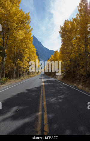 Dans les tremblaies automne couleur ligne de crête les côtés de la route sur le lac juin boucle dans l'est de la Sierra Nevada de Californie USA Banque D'Images