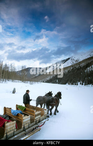 Usa, Colorado, le tremble, le Wrangler mike lewindowski durs chevaux et un traîneau dans la neige, Pine Creek cookhouse, Ashcroft Banque D'Images