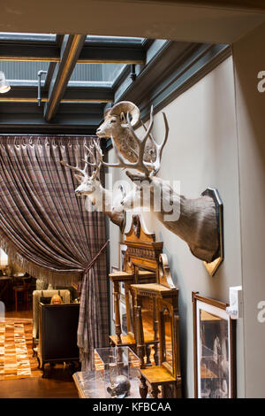 USA, Colorado, le tremble, l'intérieur de l'hôtel, le centre-ville de Jerome tremble sur la rue Main Banque D'Images