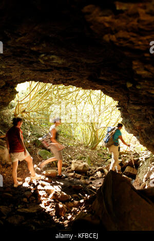 L'île de Pâques, chili, Isla de Pascua, rapa nui, les randonneurs explorer autour des collines luxuriantes vert menant à maunga terevaka, le point le plus élevé sur l'île Banque D'Images