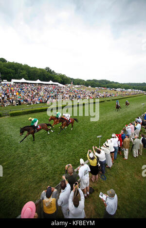 Usa, New York, Nashville, steeplechase iroquois, les chevaux passent sous le fil au deuxième tour de la septième et dernière course Banque D'Images