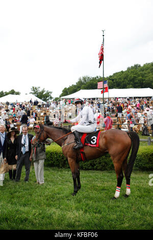 Usa, New York, Nashville, course d'iroquois, jockey Brian Crowley arcadia ont leur photo prise après sa victoire Banque D'Images