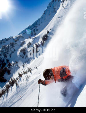 Usa, Utah, jeune homme ski lee's tree, alta ski resort Banque D'Images