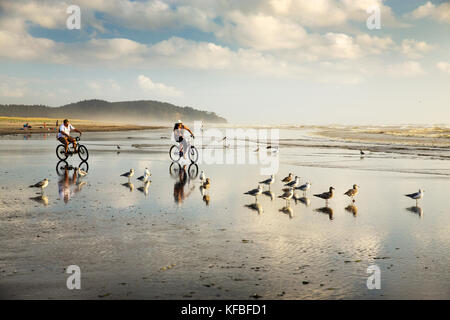 USA, l'État de Washington, la péninsule de Long Beach, Festival International de Cerf-volant, Walter et Erin Ellison prendre leur vélo à travers les mouettes sur la plage un Banque D'Images