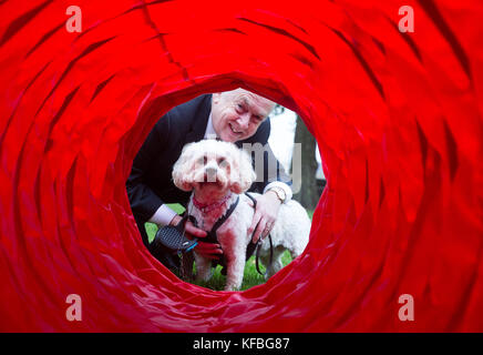 Wayne David, député de Caerphilly, avec Alice, un Cavalier King Charles Spaniel/Bichon Frise Cross, pairs vers le bas d'un tunnel à la Westminster Dog de l'année Banque D'Images