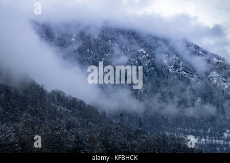 Brouillard d'hiver dans la forêt de montagnes des Pyrénées Banque D'Images