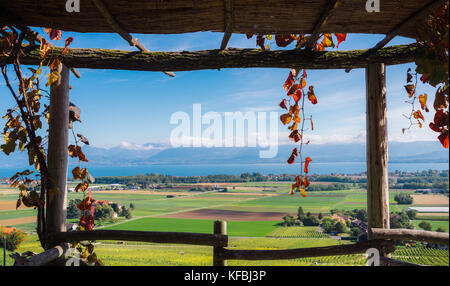 Châssis châssis dans des vignobles en Suisse surplombant le lac de Genève au cours de l'automne Banque D'Images