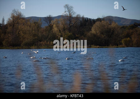 Édimbourg, Écosse 27 octobre 2017. Soleil d'automne à Édimbourg. Pako Mera/Alamy Live News. Banque D'Images