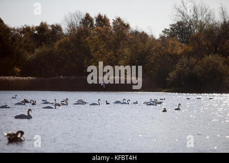 Édimbourg, Écosse 27 octobre 2017. Soleil d'automne à Édimbourg. Pako Mera/Alamy Live News. Banque D'Images