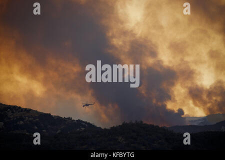 Wildomar, CALIFORNIE, États-Unis. 26 octobre 2017. Les pompiers combattent le feu de forêt de Wildomar dans la forêt nationale de Cleveland le jeudi 26 octobre 2017 à Wildomar, Calif. L'incendie a commencé après qu'une moto s'est écrasée contre un arbre. © 2017 Patrick T Fallon crédit : Patrick Fallon/ZUMA Wire/Alamy Live News Banque D'Images