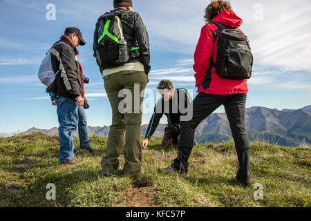 Usa, Alaska, Denali, le parc national Denali, helihiking tour à travers la montagne, frais, guide de randonnées jeffery ottmers Banque D'Images