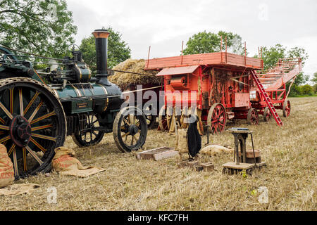 Une reconstitution de la fin de la récolte sur une ferme de Norfolk dans les années 1940 et 1950, démontrant la récolte et le battage des méthodes. Banque D'Images