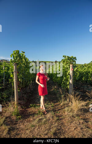 Usa, Ohio, Willamette Valley, portrait d'une jeune femme dans les vignes au sokol blosser winery, Dayton Banque D'Images