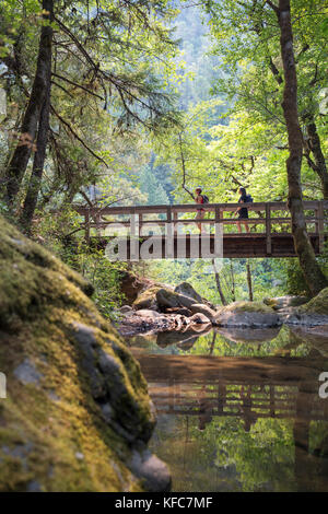 Usa (Oregon), Wild and Scenic Rogue River dans le district de Medford, traversé le pont sur le ruisseau de la Tate Banque D'Images