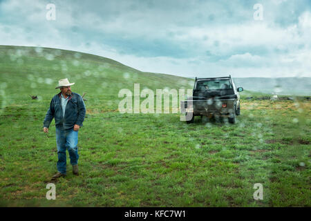 Usa (Oregon), enterprise, cowboy et d'éleveurs de Todd nash promenades dans la pluie en face de son vieux camion Banque D'Images