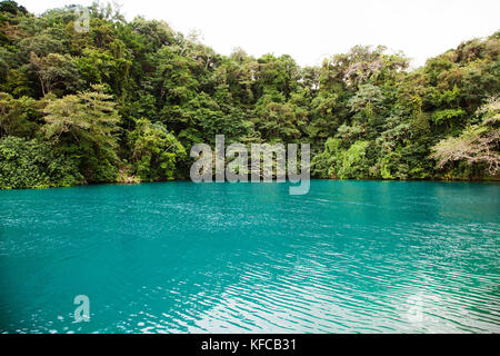 La JAMAÏQUE, Port Antonio. Le Lagon Bleu. Banque D'Images