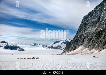 Usa, Alaska, Juneau, les chiens courir sur la montagne gardien ci-dessous juneau icefield helicopter tour en traîneau à chiens, vous vole sur le glacier à l'helimush taku Banque D'Images