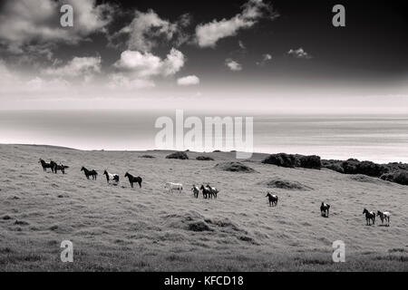 Usa, Hawaii, la grande île, en vélo de montagne à pu'uhue rd 250 route de sentier au sud d'hapuna Banque D'Images