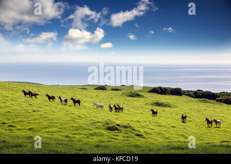 Usa, Hawaii, la grande île, en vélo de montagne à pu'uhue rd 250 route de sentier au sud d'hapuna Banque D'Images