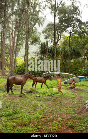 Usa, Hawaii, la grande île, paddle boarders et chevaux sauvages dans la vallée waipio Banque D'Images