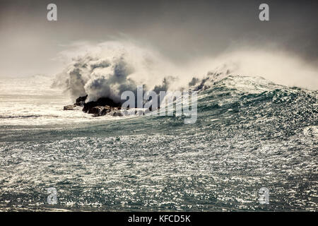 Hawaii, Oahu, côte-nord, eddie aikau, 2016, les surfeurs en compétition dans l'Eddie aikau big wave 2016 compétition de surf, waimea bay Banque D'Images