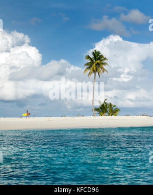 L'Indonésie, les îles Mentawai, kandui left resort, man walking with surfboard sur une petite île avec un palmier Banque D'Images
