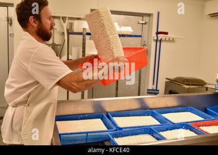 Fromagers jesse johnson part tourner le fromage en usine à door county creamery dans le comté de porte communauté de sister Bay, Wisconsin, USA. Banque D'Images