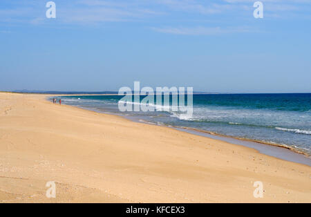 Plage de Comporta, Alentejo. Portugal Banque D'Images