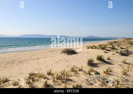 Dunes de sable à Comporta Beach, Alentejo. Portugal Banque D'Images