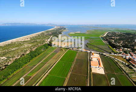 Vue aérienne de rizières. Comporta, Alentejo, Portugal Banque D'Images