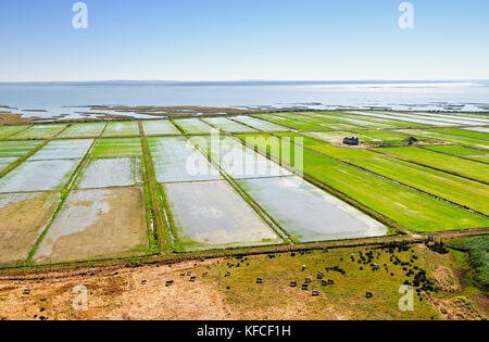 Vue aérienne de rizières. Comporta, Alentejo, Portugal Banque D'Images