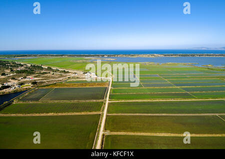 Vue aérienne de rizières. Comporta, Alentejo, Portugal Banque D'Images