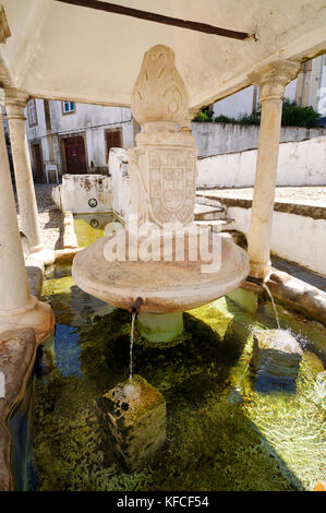 Le quartier juif et la fontaine manueline dans le village historique de Castelo de vide, Alentejo, Portugal Banque D'Images