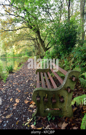 Un banc sous quelques arbres sur un chemin à côté d'un lac en automne à pinetum park à Saint Austell, Cornwall. Banque D'Images