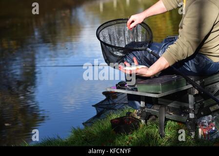 Un pêcheur sur la forêt de pointe canal à whaley bridge montre le cafard qu'il a pris. Banque D'Images