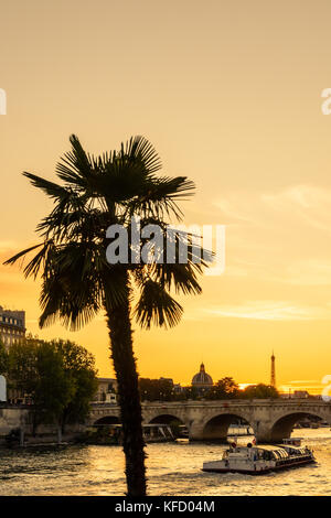 La fin de l'été le coucher du soleil sur Paris avec un palmier au premier plan, un bateau d'excursion en passant par sur la Seine, le Pont Neuf' bridge et de la Tour Eiffel Banque D'Images