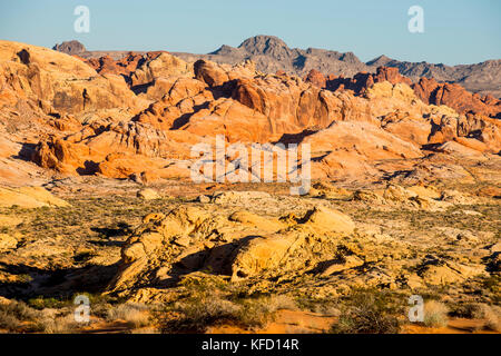 Au cours de la négliger dans la formations de grès redrock valley of fire, Nevada, USA Banque D'Images