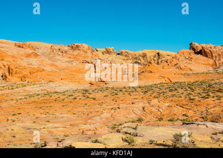 Au cours de la négliger dans la formations de grès redrock valley of fire, Nevada, USA Banque D'Images