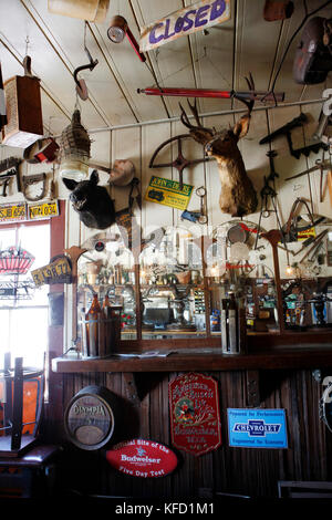 États-unis, Californie, healdsburg, à l'intérieur du magasin général et du ruisseau à sec dans un bar Alexander Valley Banque D'Images